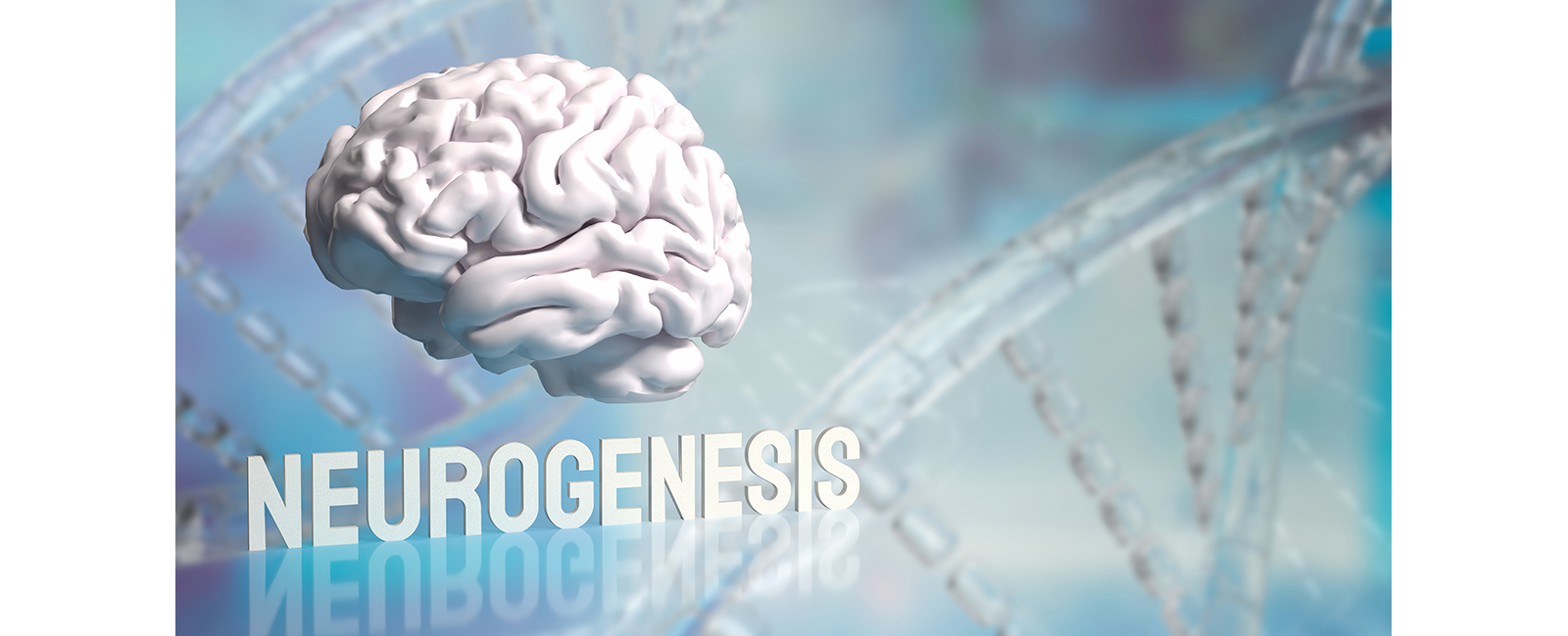 Neurogenesis for HD