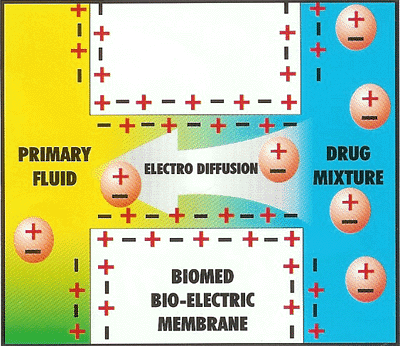 Nanomembrane in MICROS